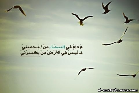 حكم وامثال وأقوال  .. - صفحة 72 320553894